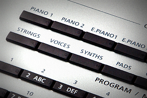 Artis programs