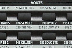 KP200 - Voices