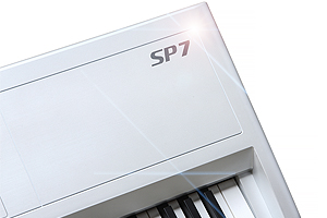 SP7 – details