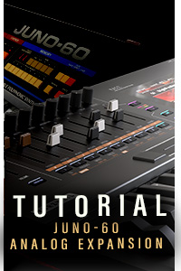 FAQ Juno 60 Analog Expansion